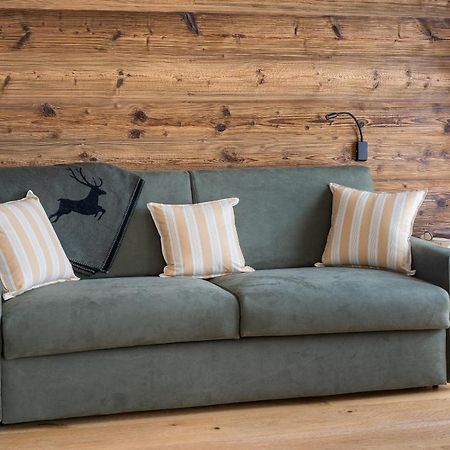Chalet Ines Vodo Cadore エクステリア 写真