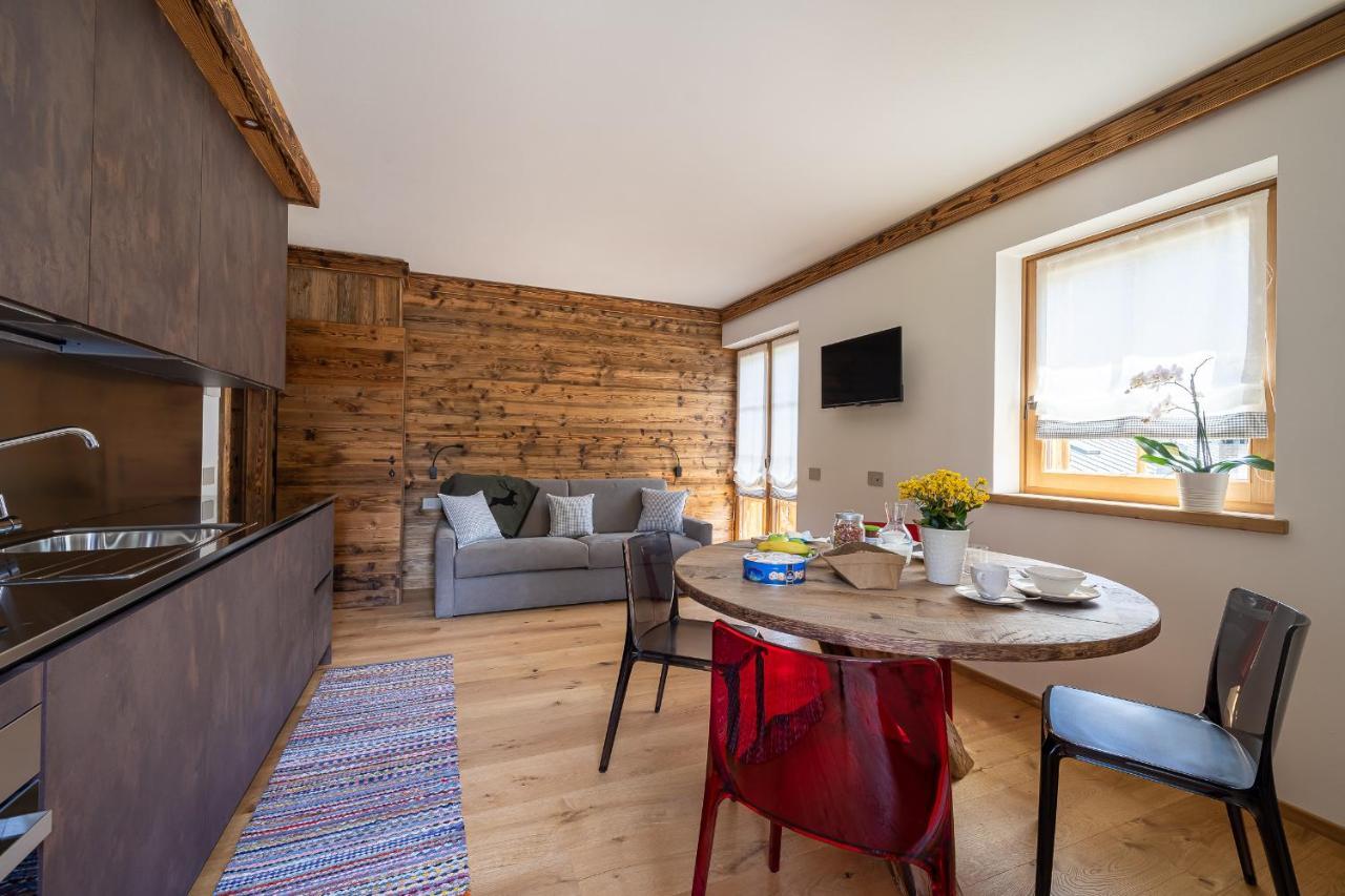 Chalet Ines Vodo Cadore エクステリア 写真
