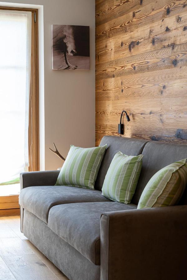 Chalet Ines Vodo Cadore エクステリア 写真