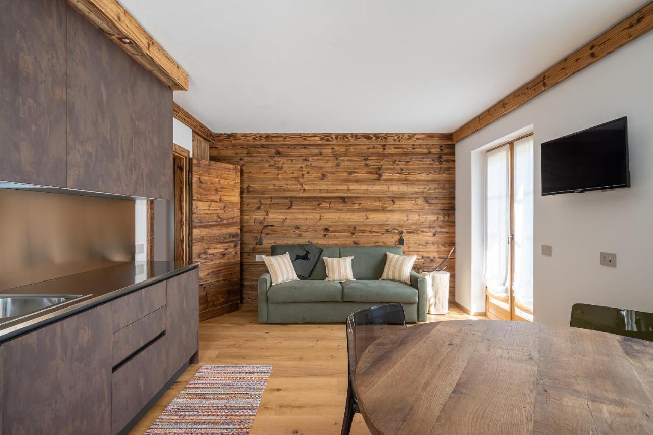 Chalet Ines Vodo Cadore エクステリア 写真